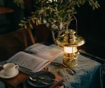 ZROV-TL-003 Camping lantern basic version - 图片 15